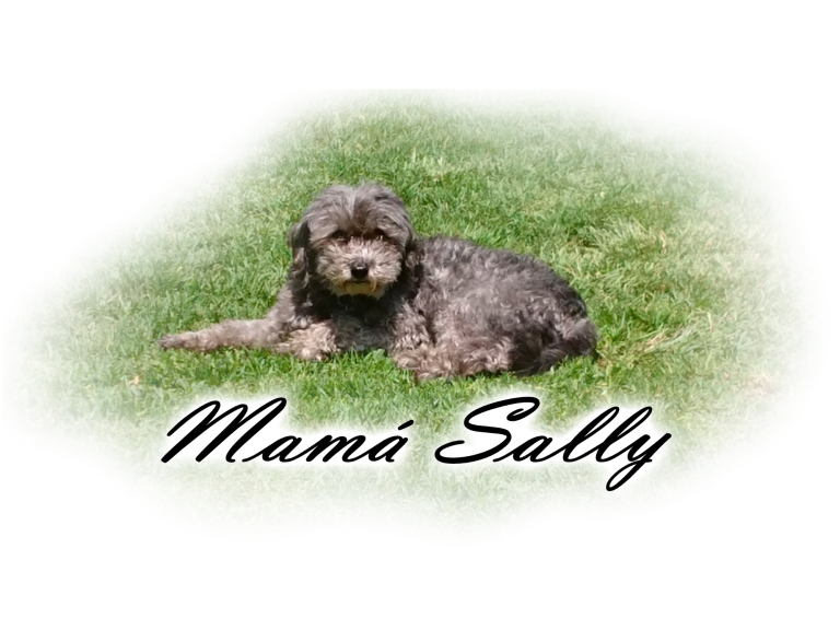 Mamá Sally Mamá Sally